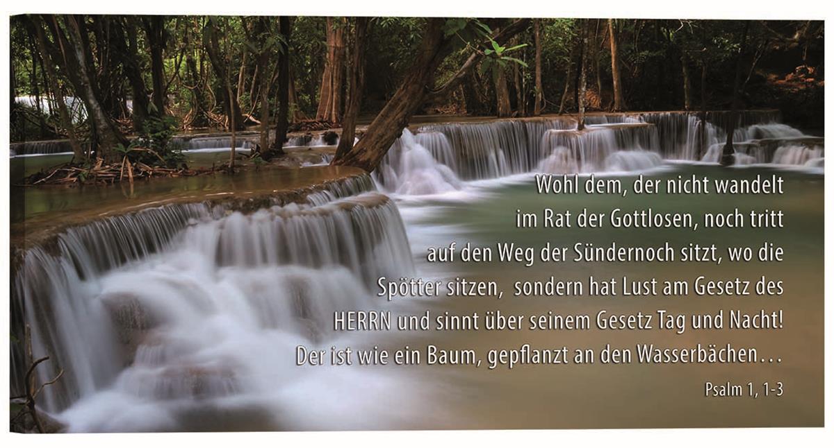 Bild "Wasserfall im Wald"