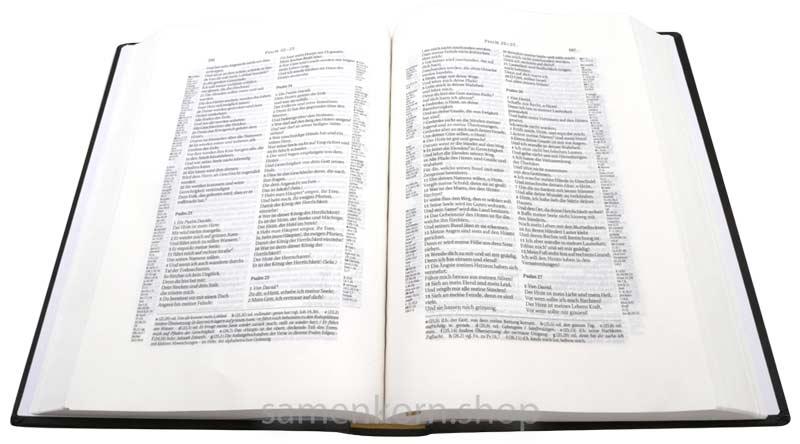 Schlachter 2000, Schreibrand, mit Parallelstellen / Buch