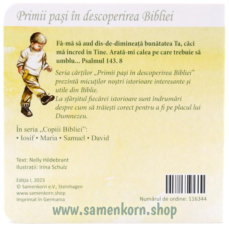 David / Pappbuch Rumänisch