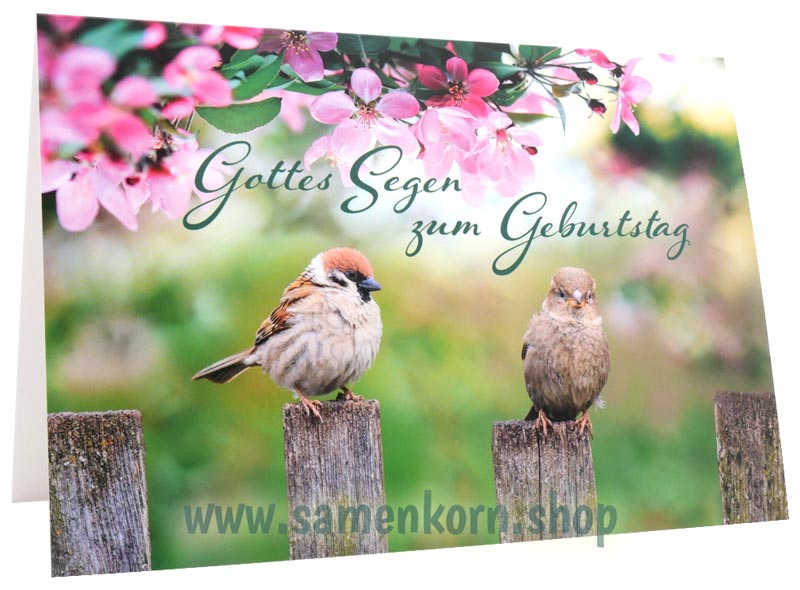 Doppelkarte "Gottes Segen zum Geburtstag"
