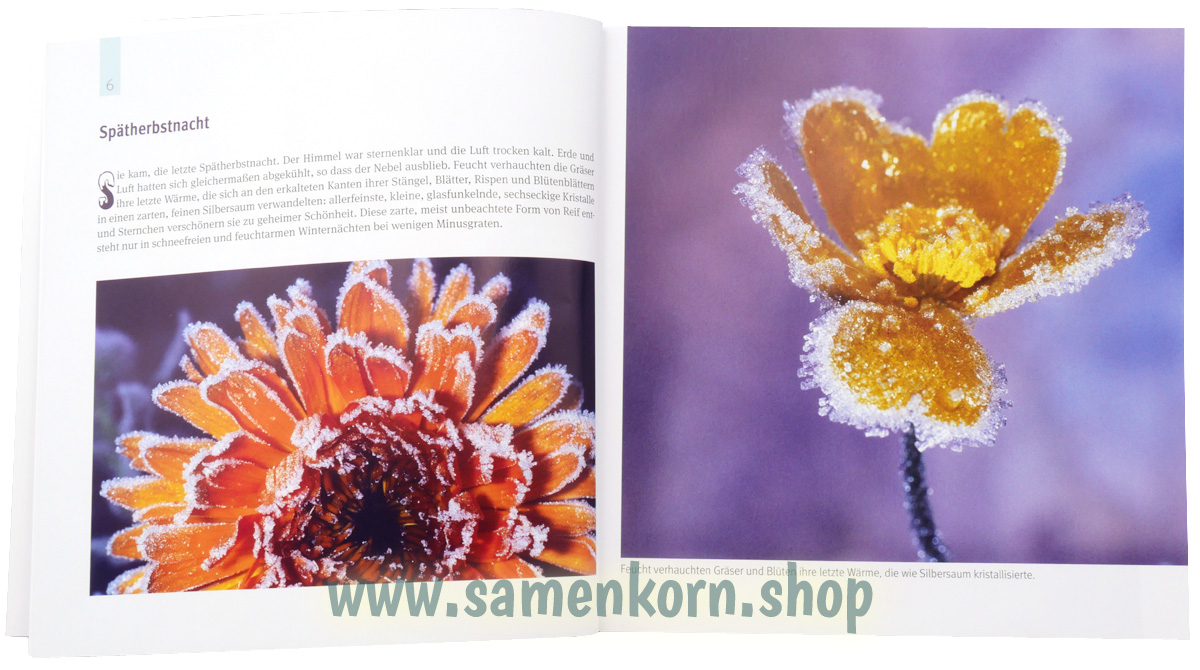 Einzigartige Kunstformen aus Schnee, Eis und Licht / Buch