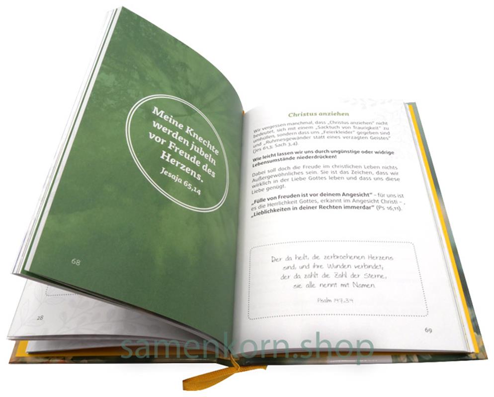 Freut euch im Herrn allezeit / Buch
