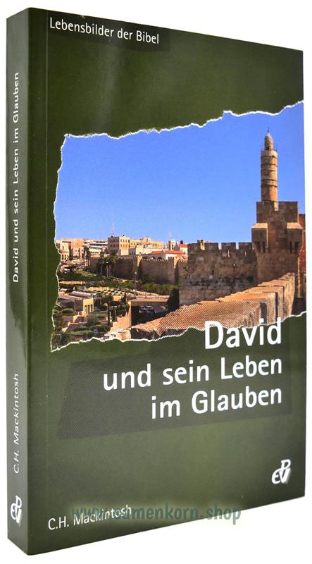 David und sein Leben im Glauben / Buch