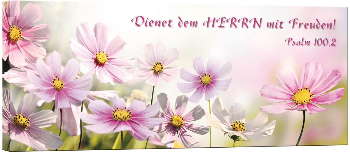 Bild "Panorama Blumen"