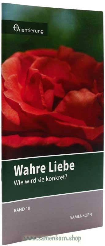 Reihe Orientierung / Bände 17-24 /  Hefte