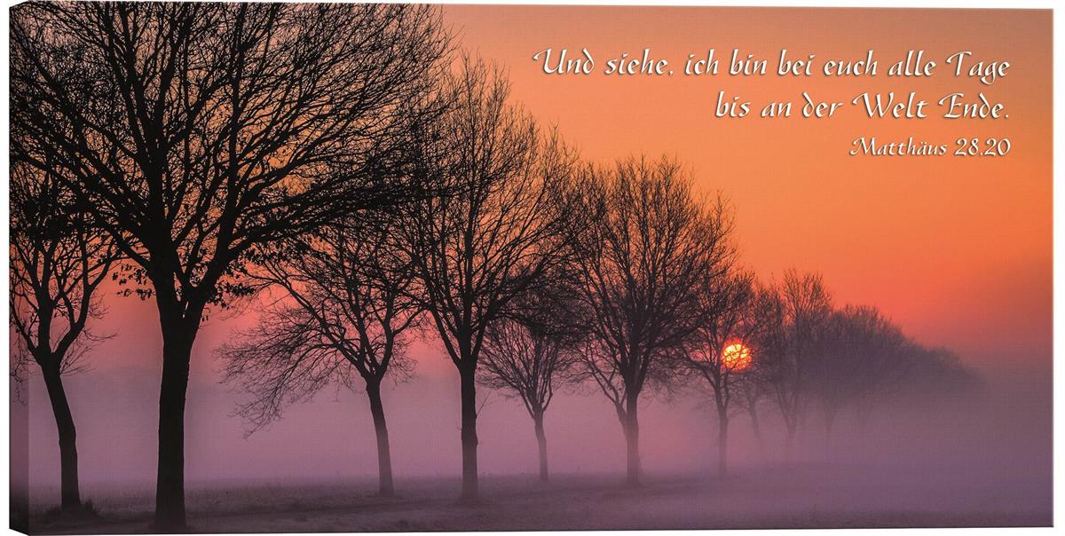 Bild "Sonnenaufgang bei Nebel"