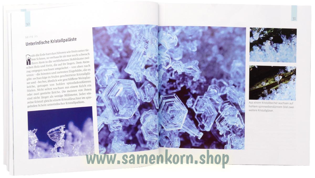 Einzigartige Kunstformen aus Schnee, Eis und Licht / Buch