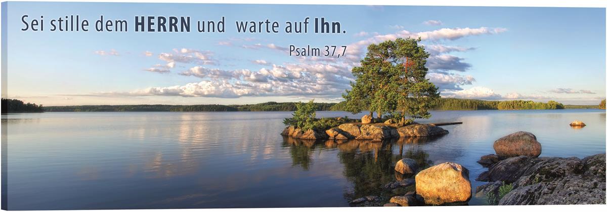 Bild "See mit Insel - Panorama"