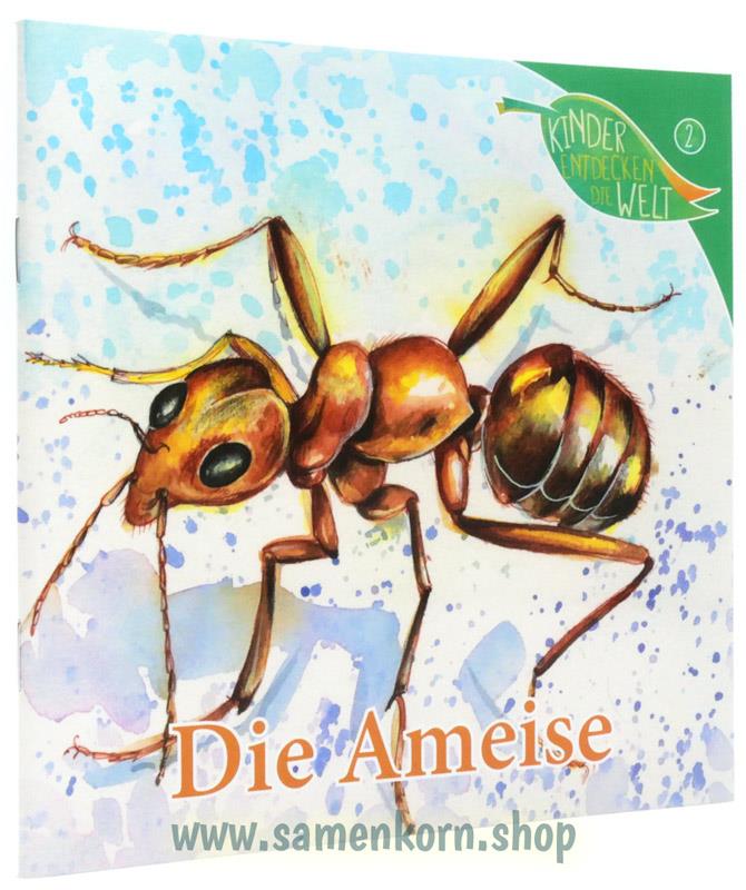 Die Ameise/ Heft