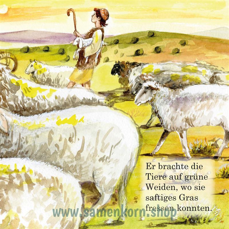 David / Kinder der Bibel / Pappbuch