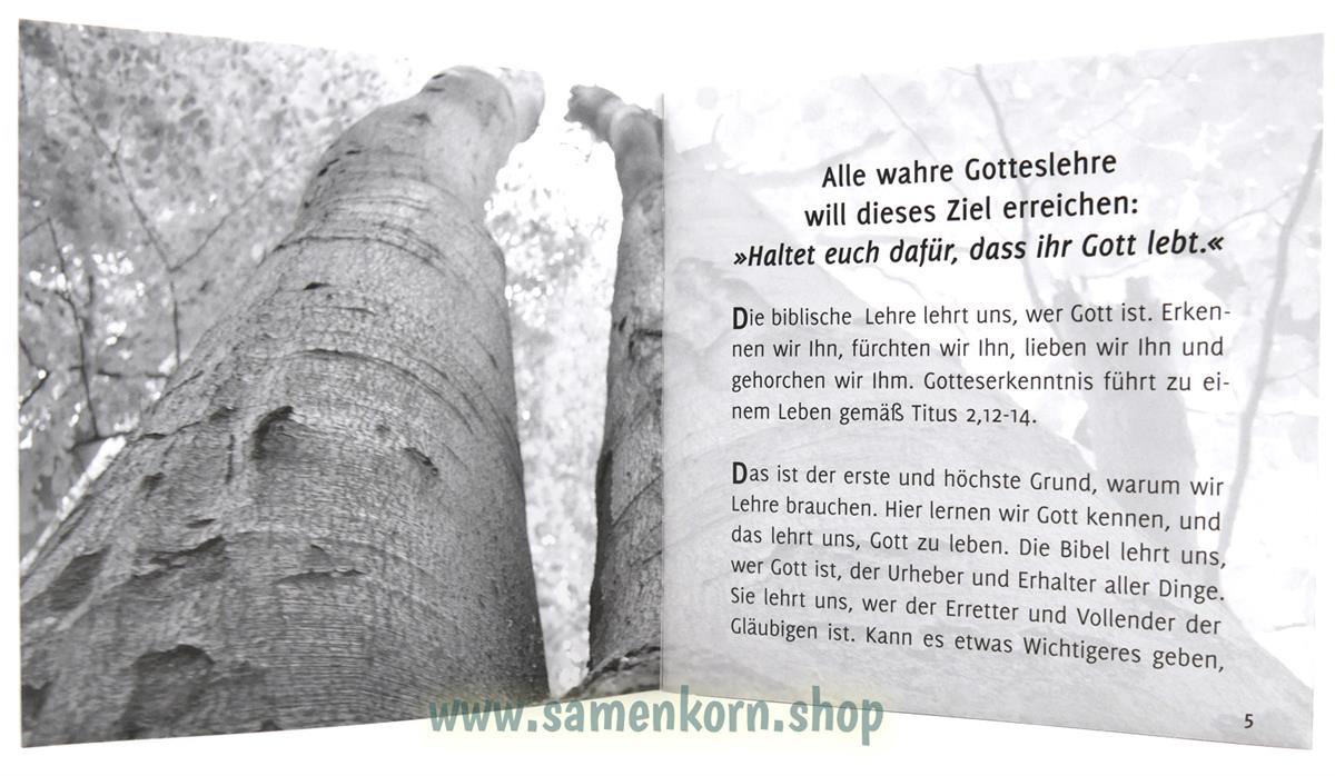 Gott leben. «Lehre trennt, Liebe eint»? / Heft