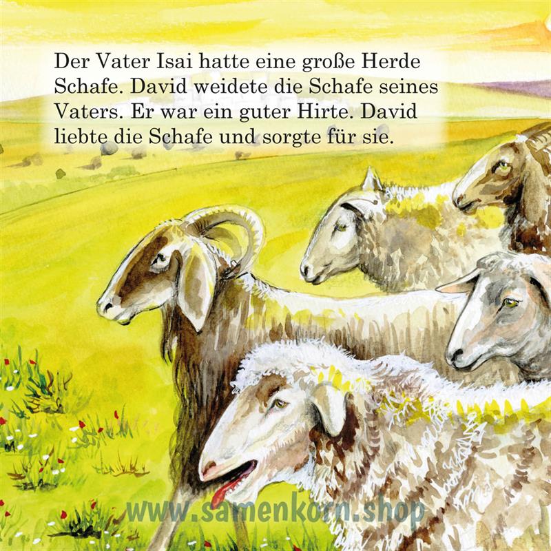 David / Kinder der Bibel / Pappbuch