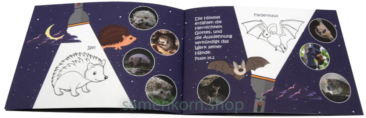 Mini-Rätselheft - Tiere in der Nacht / Heft