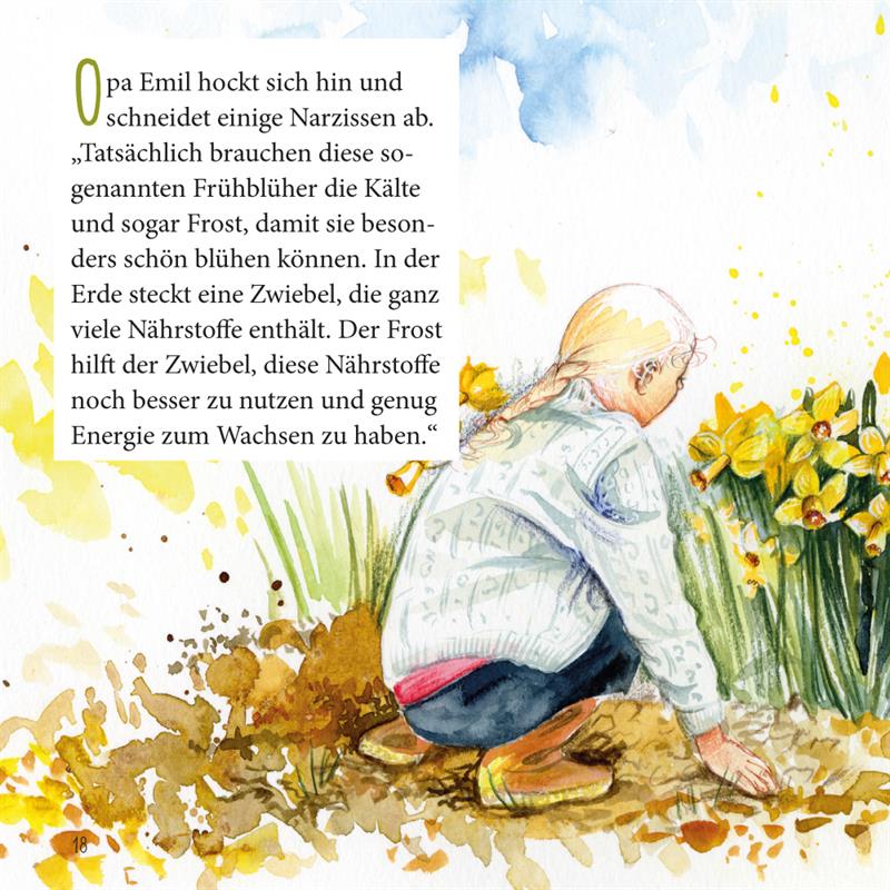 Die Narzisse / Heft 5