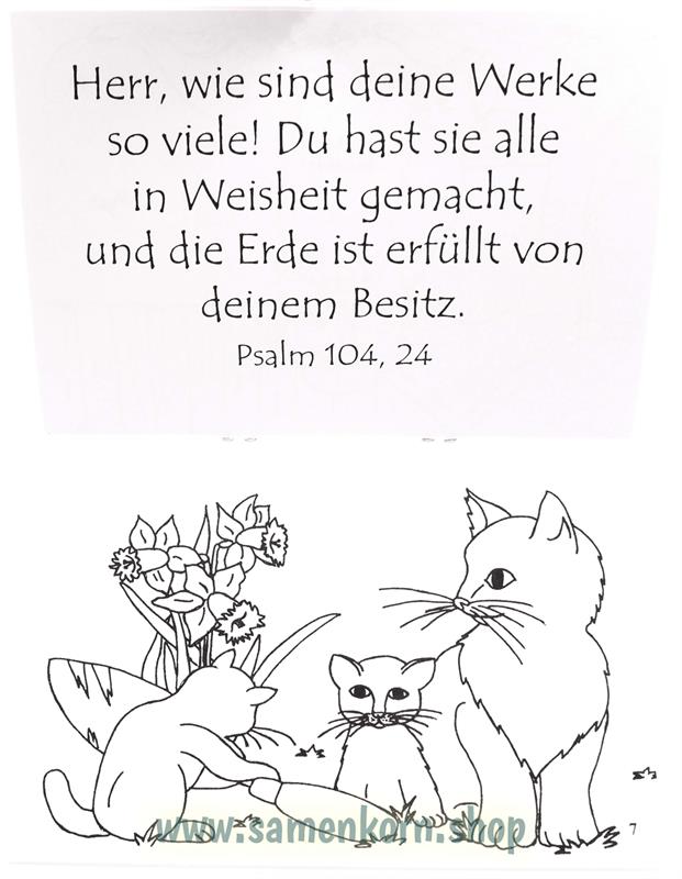 Malheft / Katzen / Heft