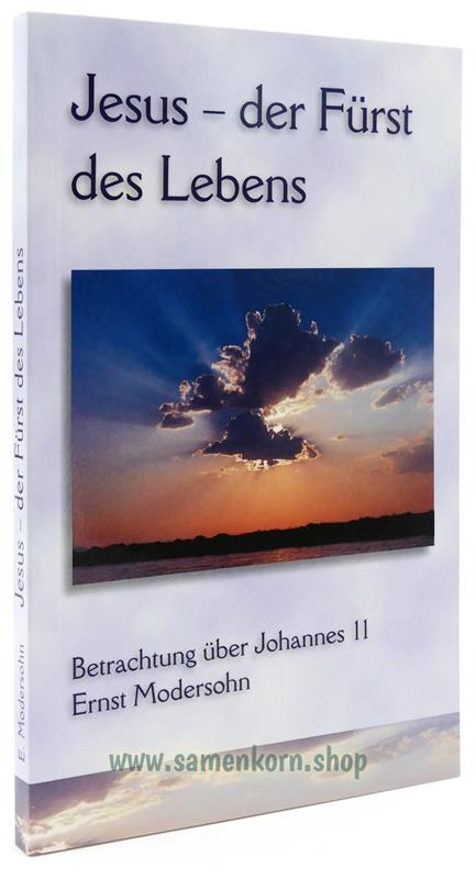 Jesus - der Fürst des Lebens / Betrachtung über Johannes 11 / Buch