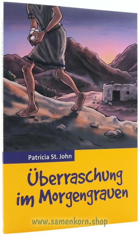 Überraschung im Morgengrauen / Buch