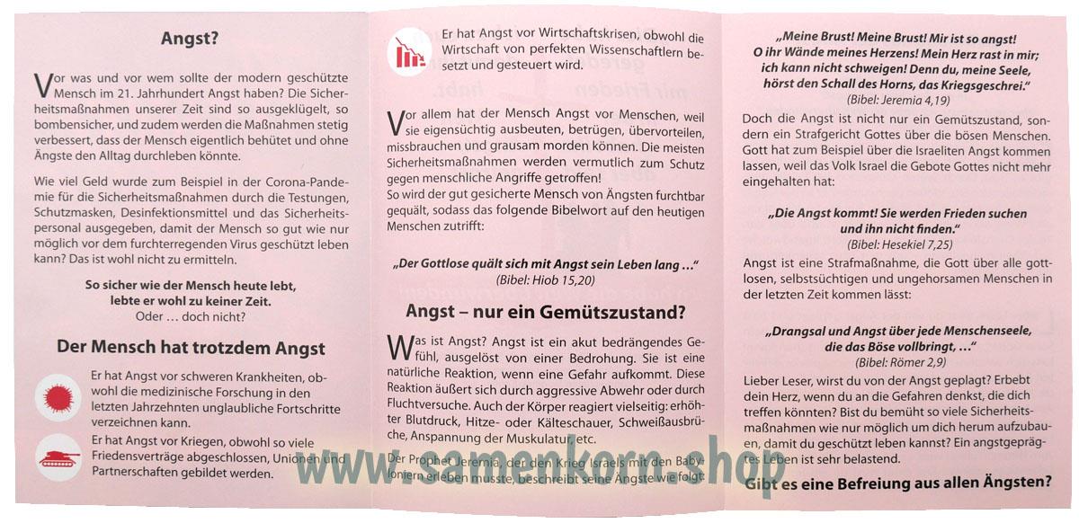 Angst - im 21. Jahrhundert / Traktat