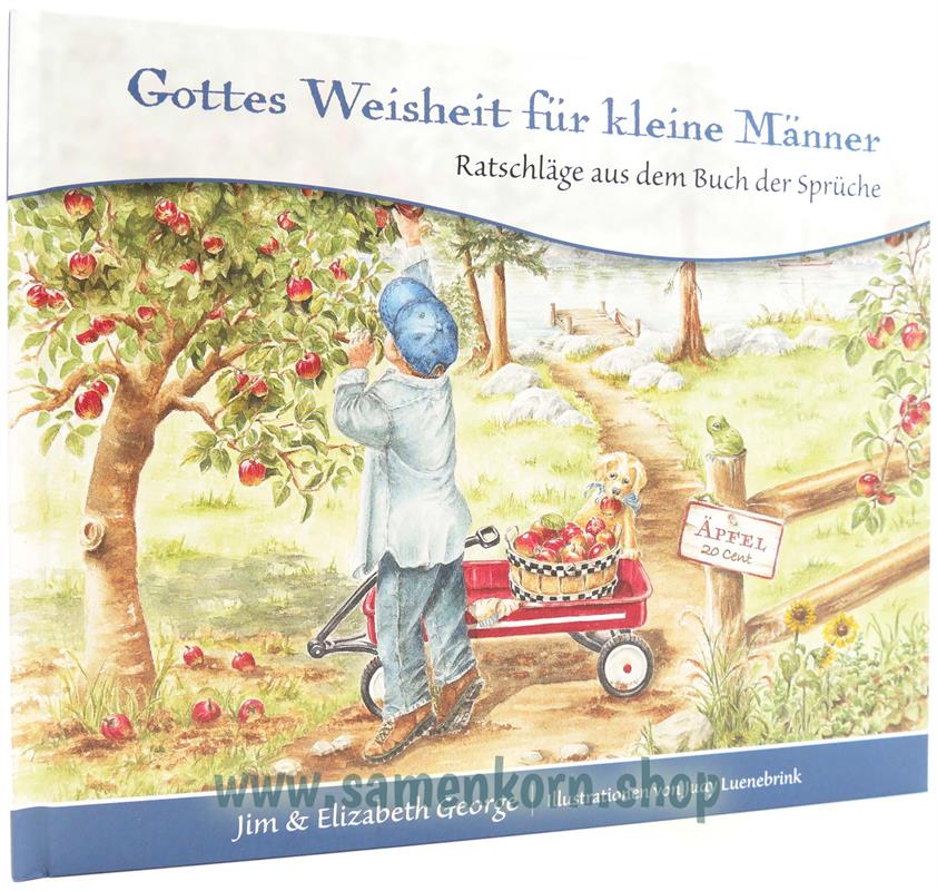 Gottes Weisheit für kleine Männer / Buch