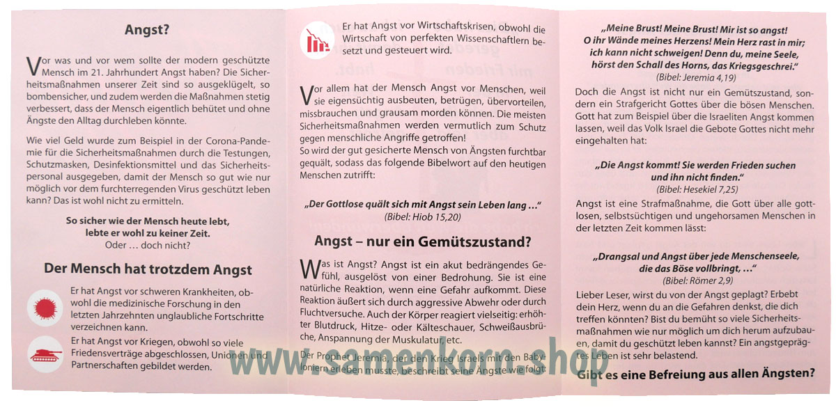 Angst - im 21. Jahrhundert / Traktat