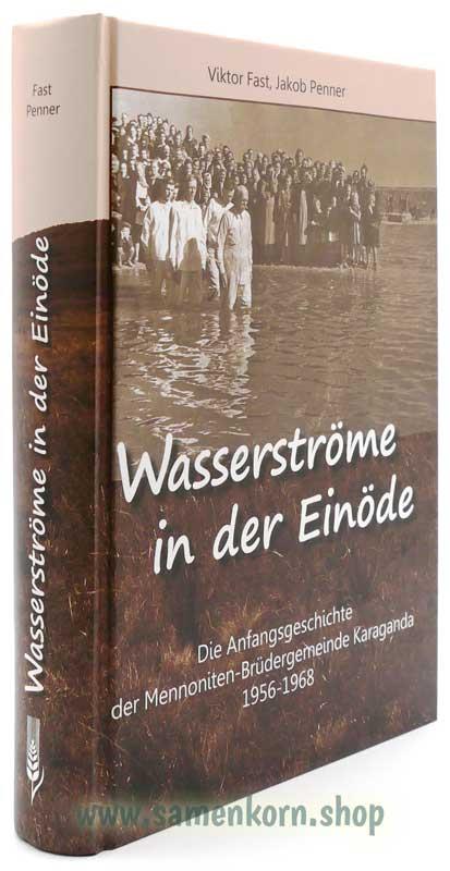 Wasserströme in der Einöde / Buch