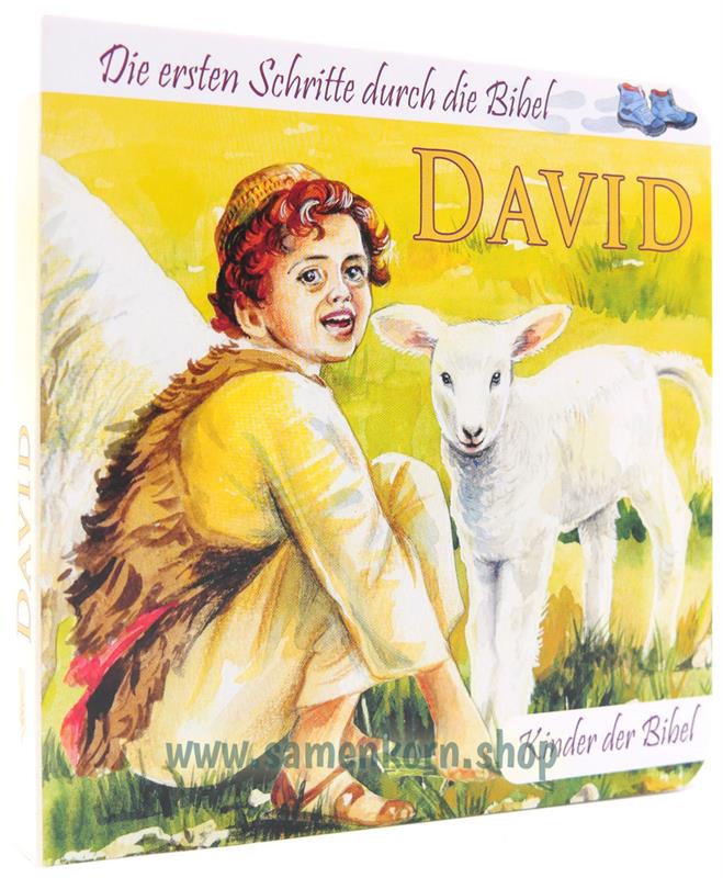 Die ersten Schritte durch die Bibel / 7 Papp-Bücher