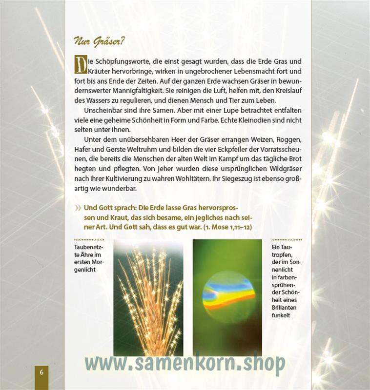 Wunder vom Weizenkorn zum Brot / Buch
