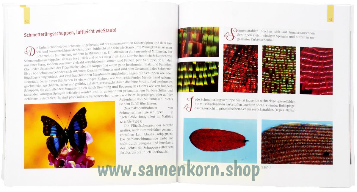Juwelenschmuck im Reich der Schmetterlinge / Buch