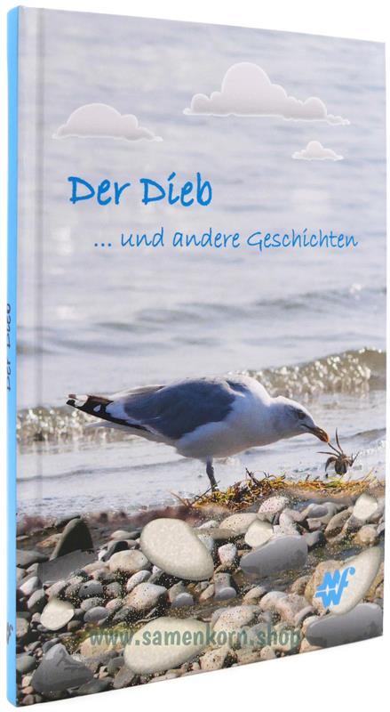 Der Dieb und andere Geschichten / Buch