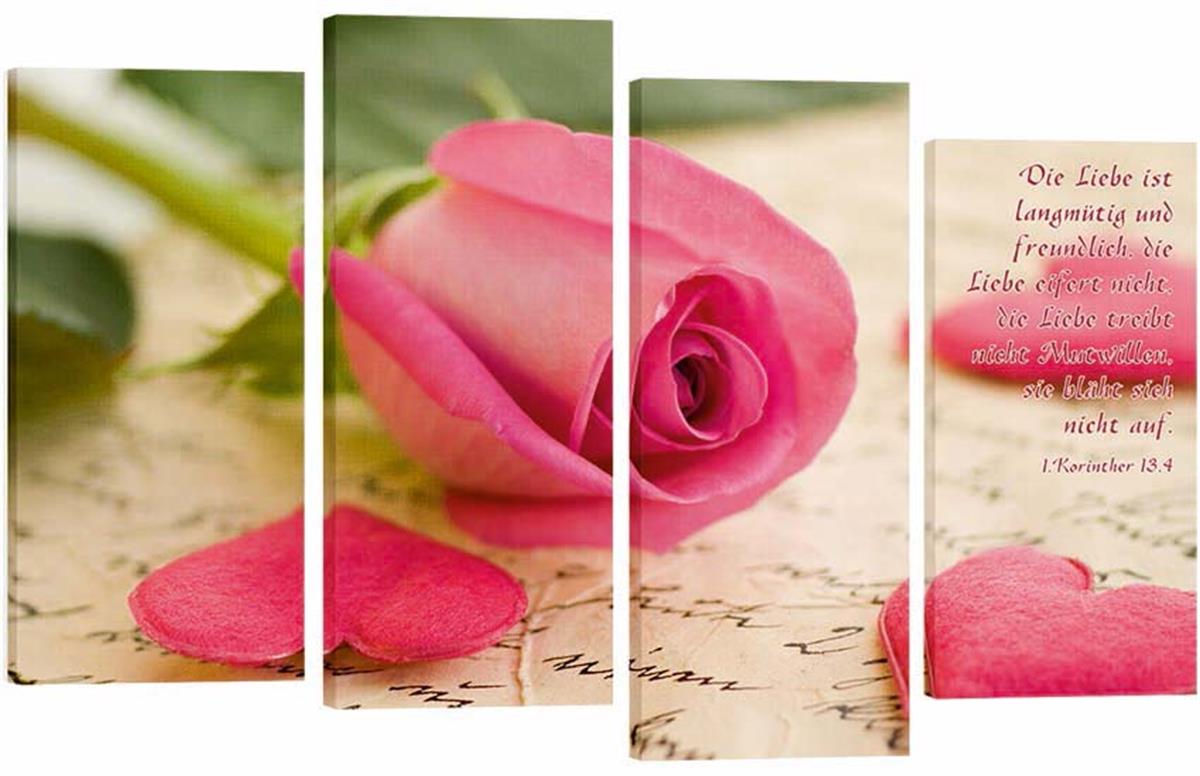 Bild "Rose"