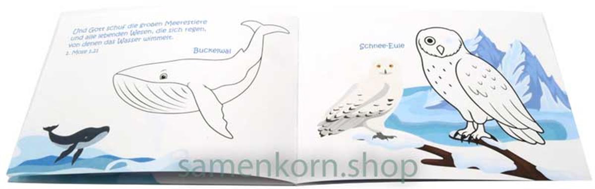 Mini-Rätselheft - Tiere in der Arktis und Antarktis  / Heft