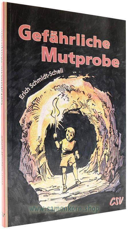 Gefährliche Mutprobe / Buch