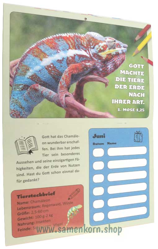 Geburtstagskalender für Kids / Heft