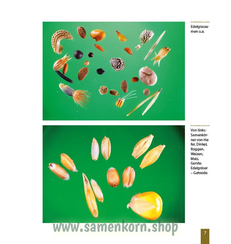 Wunder vom Weizenkorn zum Brot / Buch