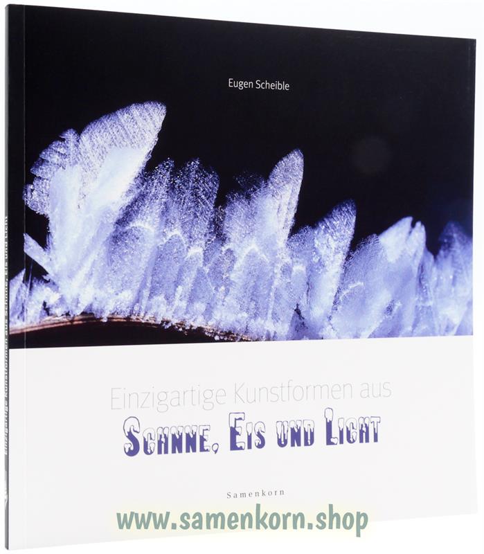 Einzigartige Kunstwerke aus Schnee, Eis und Licht / Buch