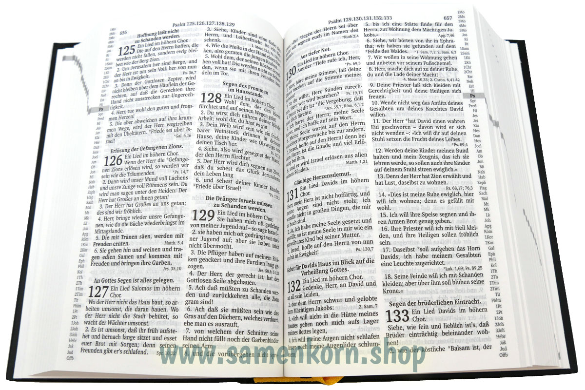 Die Bibel mit Apokrophen, Luther 1912 / Buch