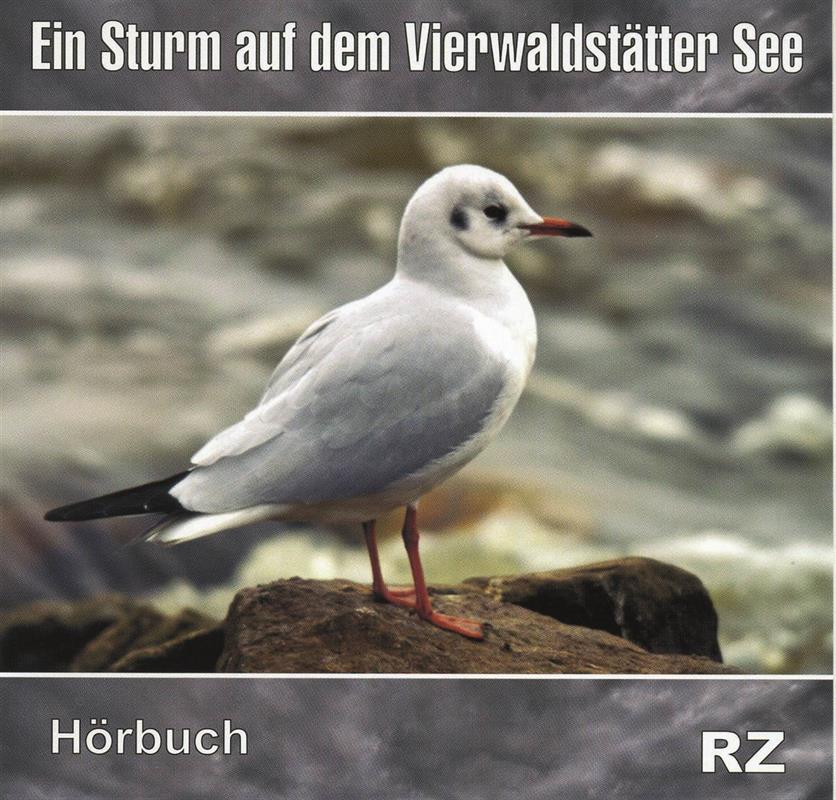 Ein Sturm auf dem Vierwaldstätter See /  CD- Hörbuch