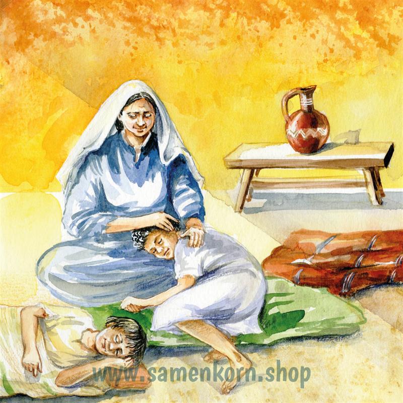Die Söhne der Witwe / Kinder der Bibel / Pappbuch
