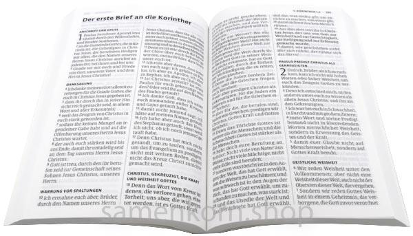 Luther21 Neues Testament, Psalmen, Sprüche - Motiv "Frisches Wasser", klein, Paperback/ Buch