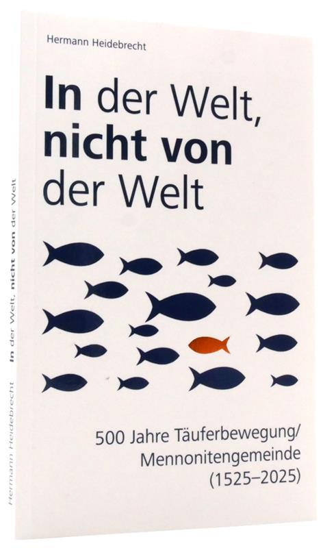 In der Welt nicht von der Welt (Heidebrecht)/ Buch