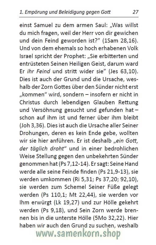 Die Sünde, das Übel aller Übel in dieser Welt / Buch