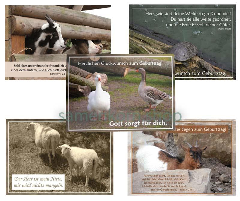 Postkarten-Set "Tiere 2" / 5 Stück