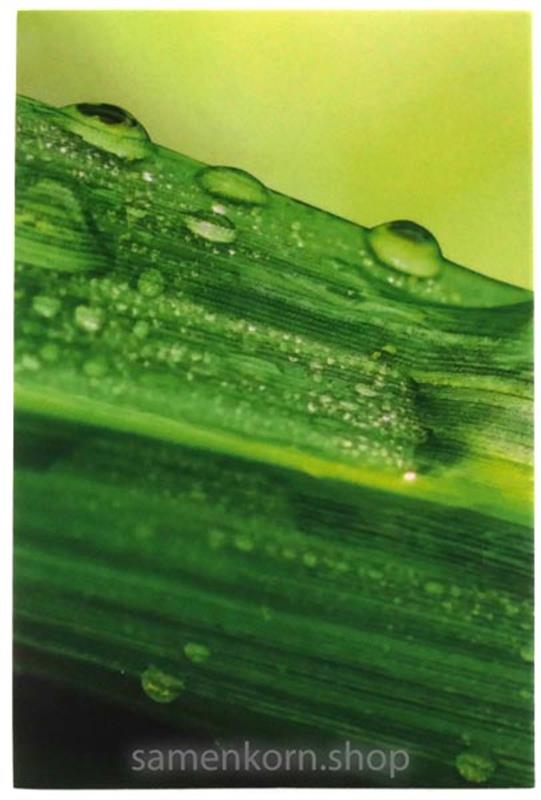 Luther21 Neues Testament, Psalmen, Sprüche - Motiv "Wassertropfen", klein, Paperback/ Buch