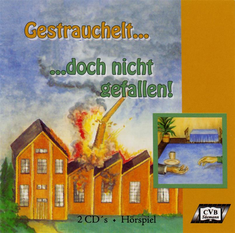 Gestrauchelt ... doch nicht gefallen / 2CDs- Hörspiel