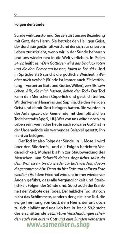 Der Christ und der Sieg, Band 17  Reihe Orientierung / Heft