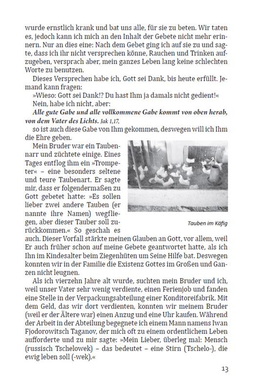 Deine Treue ist groß / Buch