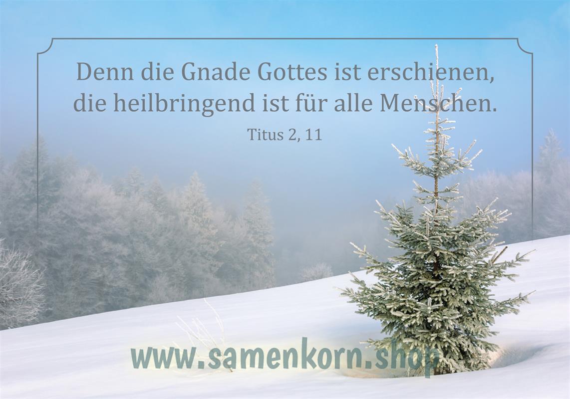 Doppelkarte Tanne im Schnee (Titus 2,11)