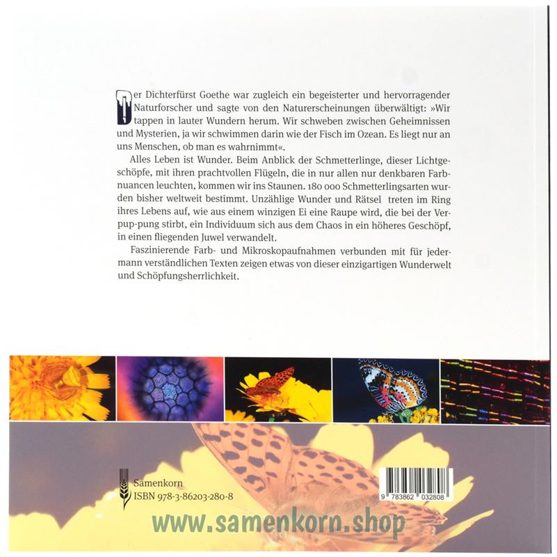 Juwelenschmuck im Reich der Schmetterlinge / Buch
