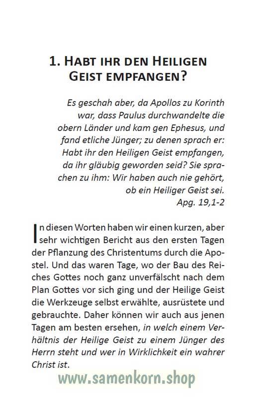 Wie stehst Du als Jünger des Herrn zum Heiligen Geist? / Buch