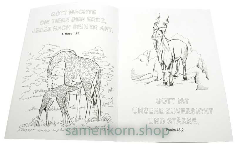 Malheft "Tierwelt" / Heft